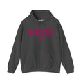 HCKY SZN (Raspberry Logo) Hooded Sweatshirt - Various Colors