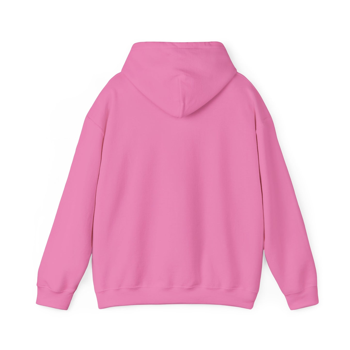 HCKY SZN (Seafoam Logo) Hooded Sweatshirt - Various Colors