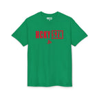 HCKY SZN Simple Star DryBlend Tee Shirt (Red Logo) - Various Colors